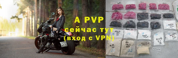 тгк Абаза