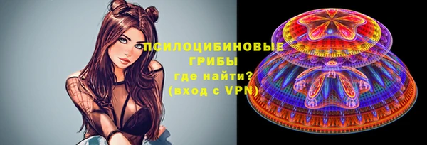 тгк Абаза