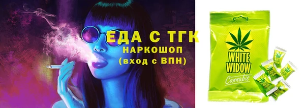 тгк Абаза