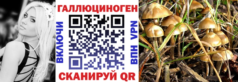 Псилоцибиновые грибы ЛСД Янаул